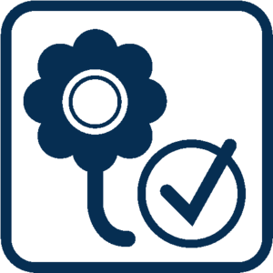 Bild Frühjahrs-Check